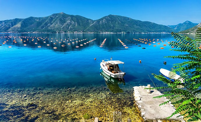 Aquakulturen in der Bucht von Kotor in Montenegro